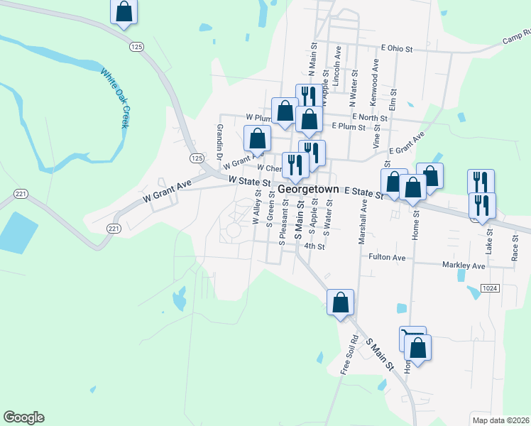 map of restaurants, bars, coffee shops, grocery stores, and more near 406 South Green Street in Georgetown