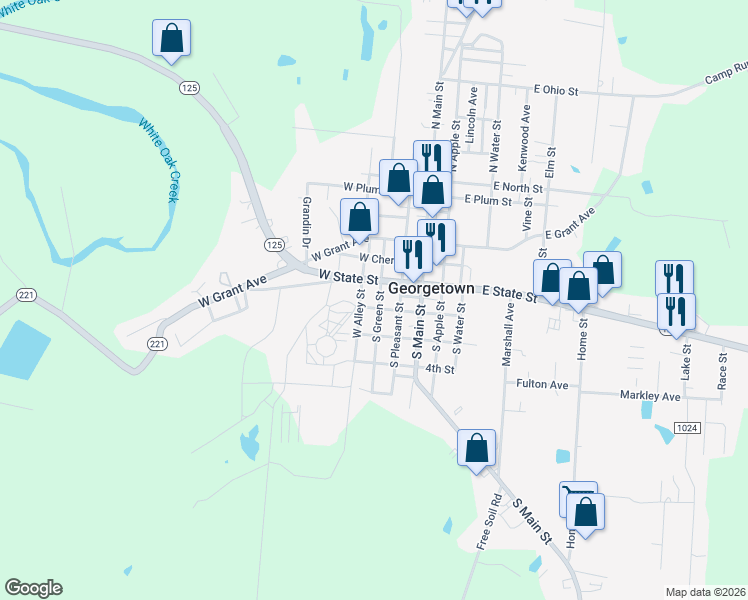 map of restaurants, bars, coffee shops, grocery stores, and more near 406 South Green Street in Georgetown