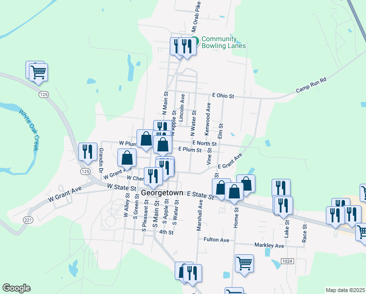 map of restaurants, bars, coffee shops, grocery stores, and more near 208 East North Street in Georgetown