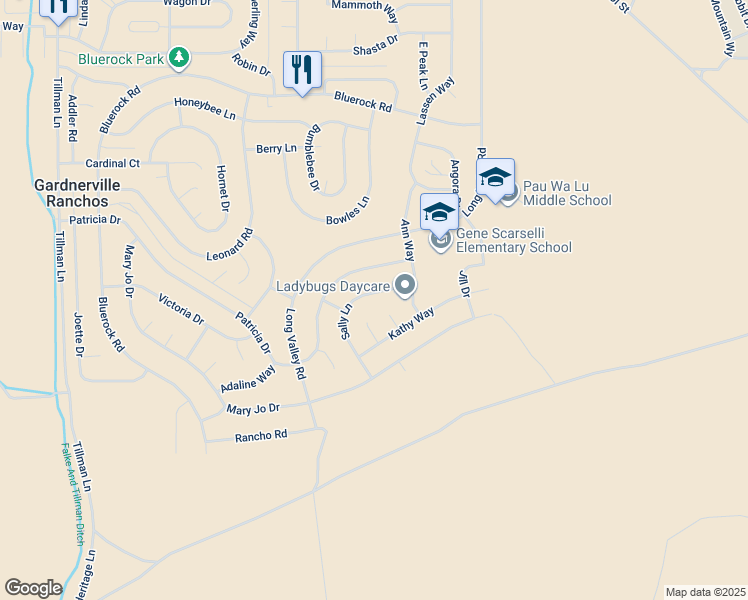 map of restaurants, bars, coffee shops, grocery stores, and more near 1445 Sally Lane in Gardnerville