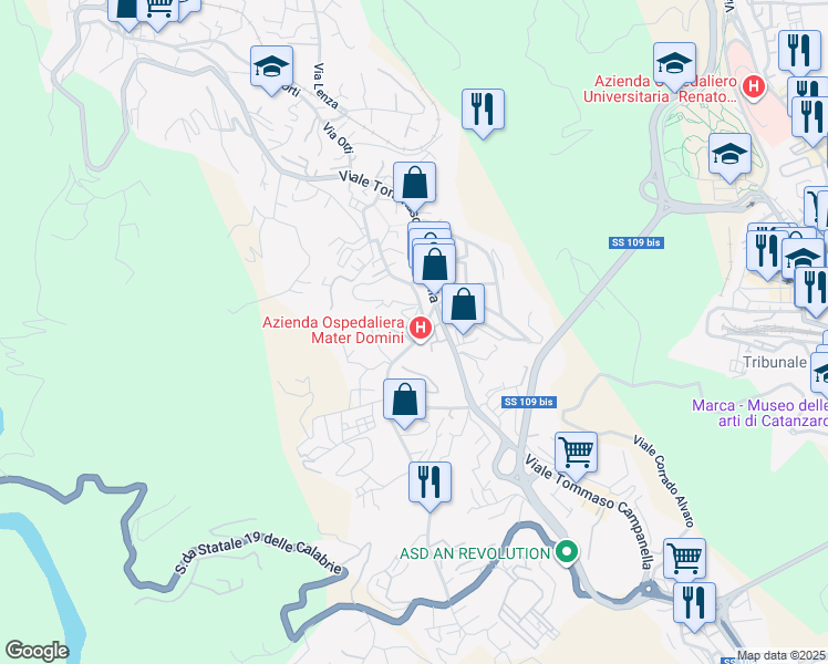map of restaurants, bars, coffee shops, grocery stores, and more near 10 Via Michele Torcia in Catanzaro