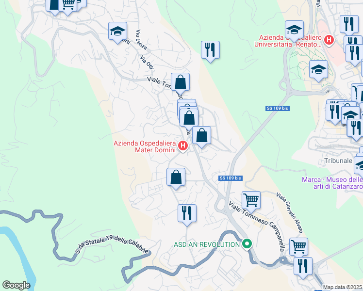 map of restaurants, bars, coffee shops, grocery stores, and more near 10 Via Michele Torcia in Catanzaro