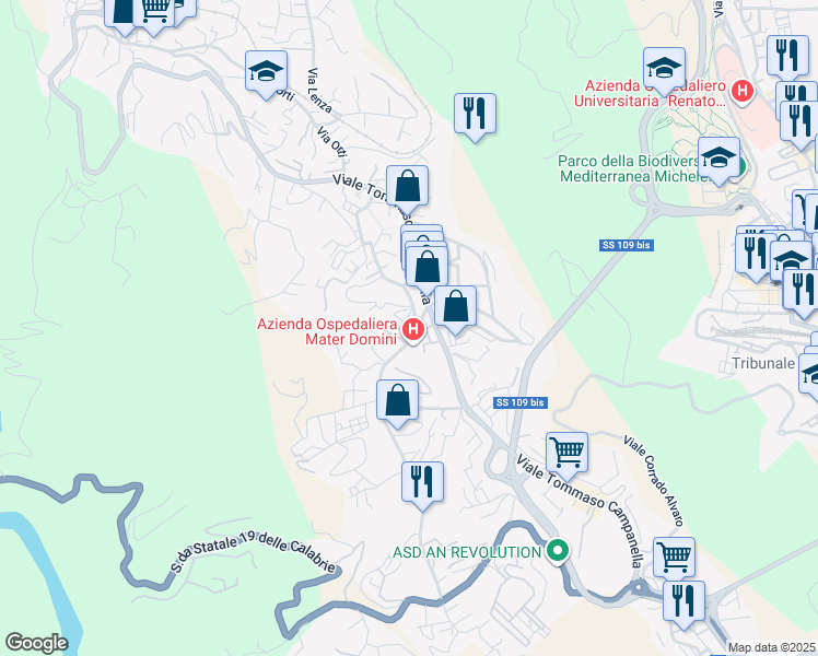 map of restaurants, bars, coffee shops, grocery stores, and more near 10 Via Michele Torcia in Catanzaro