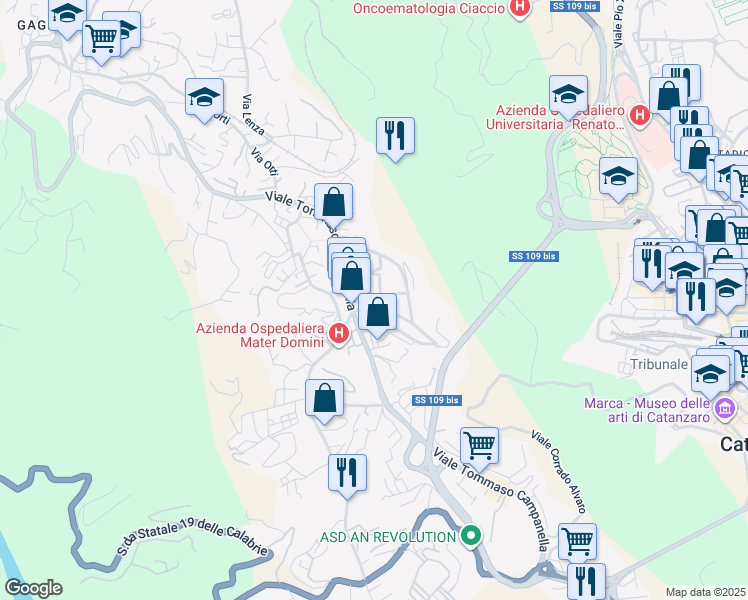 map of restaurants, bars, coffee shops, grocery stores, and more near 96 Viale Tommaso Campanella in Catanzaro