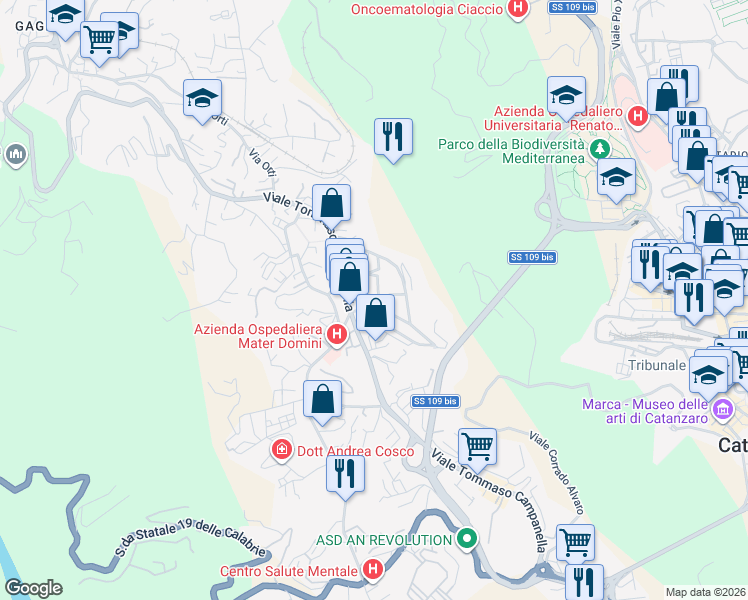 map of restaurants, bars, coffee shops, grocery stores, and more near 96 Viale Tommaso Campanella in Catanzaro