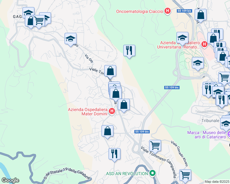 map of restaurants, bars, coffee shops, grocery stores, and more near Via Lorenzo Cardone in Catanzaro
