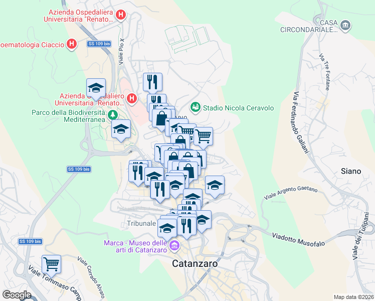 map of restaurants, bars, coffee shops, grocery stores, and more near 25 Via Romeo Domenico in Catanzaro