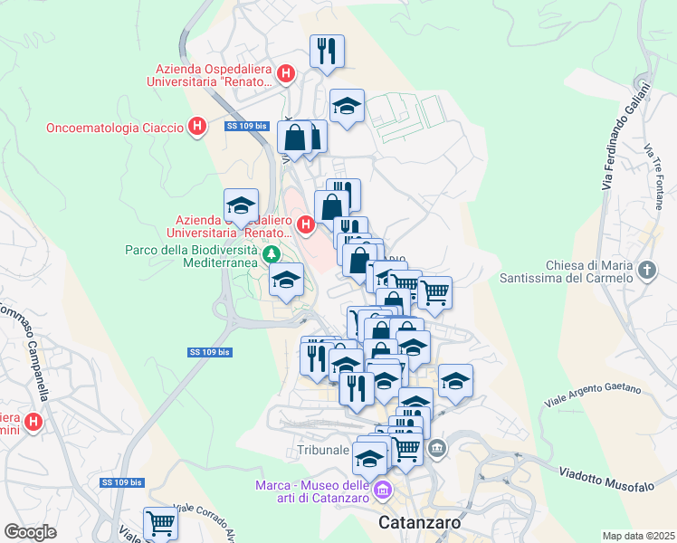 map of restaurants, bars, coffee shops, grocery stores, and more near Viale Università in Catanzaro