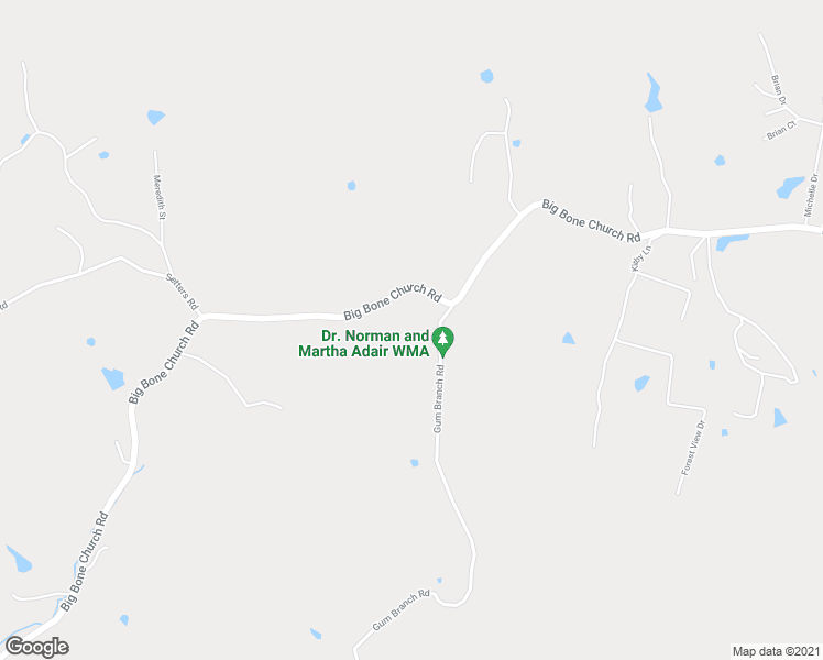 map of restaurants, bars, coffee shops, grocery stores, and more near 11081 Gum Branch Road in Union
