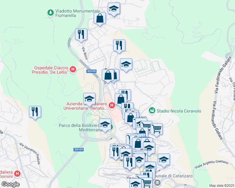 map of restaurants, bars, coffee shops, grocery stores, and more near 162 Viale Pio X in Catanzaro