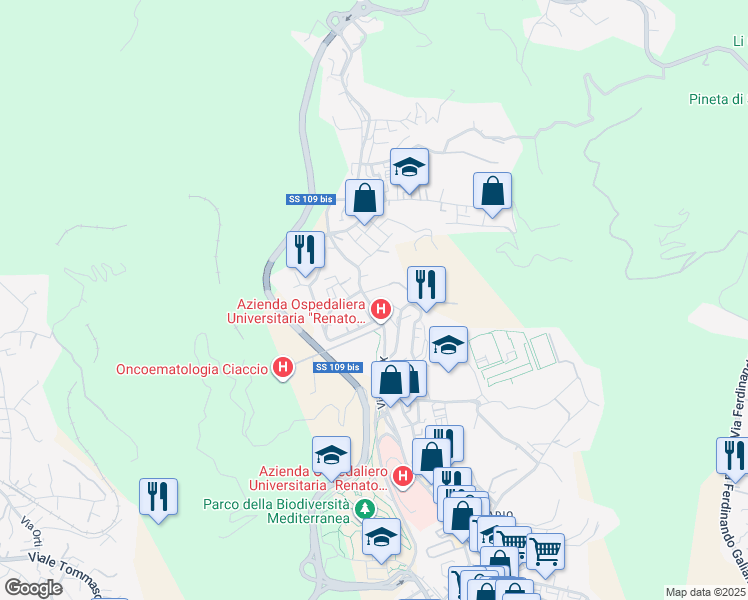 map of restaurants, bars, coffee shops, grocery stores, and more near 204 Viale Papa Pio X in Catanzaro