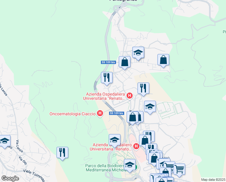 map of restaurants, bars, coffee shops, grocery stores, and more near 14 Traversa Via Giovanni Fiore in Catanzaro