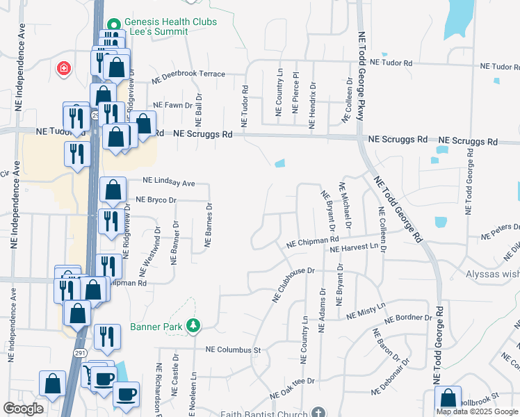 map of restaurants, bars, coffee shops, grocery stores, and more near 904 Northeast Emily Lane in Lee's Summit