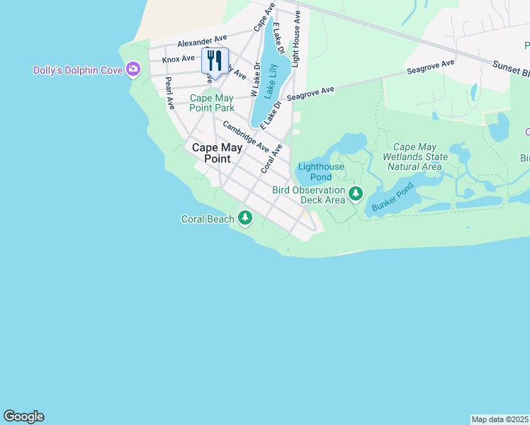 map of restaurants, bars, coffee shops, grocery stores, and more near 201 Harvard Avenue in Cape May Point