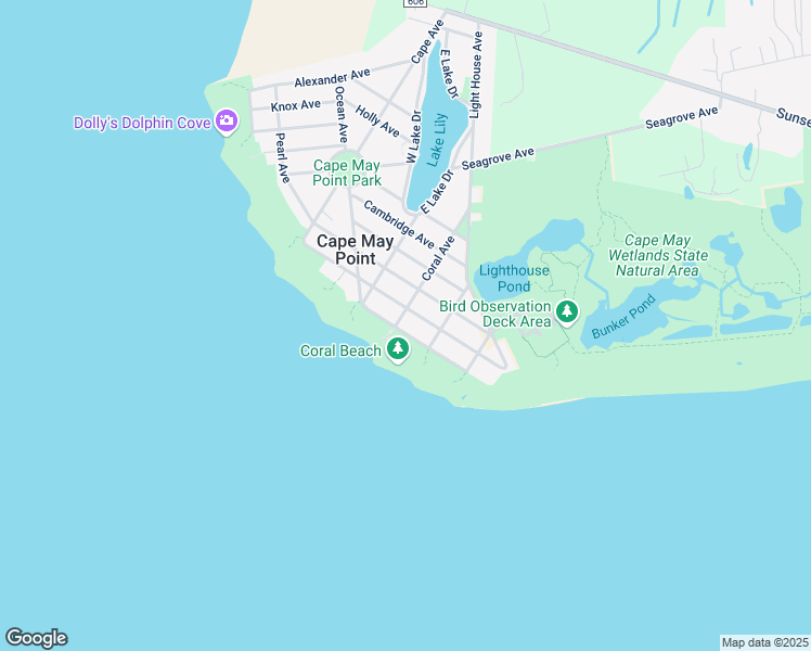 map of restaurants, bars, coffee shops, grocery stores, and more near 201 Harvard Avenue in Cape May Point