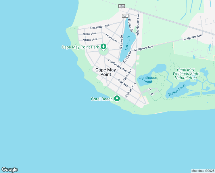 map of restaurants, bars, coffee shops, grocery stores, and more near 310 Lincoln Avenue in Wildwood