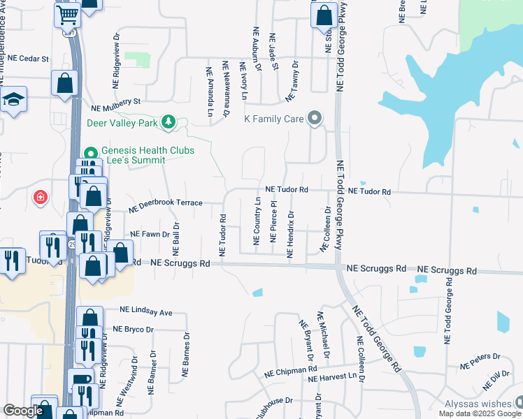 map of restaurants, bars, coffee shops, grocery stores, and more near 1213 Northeast Country Lane in Lee's Summit