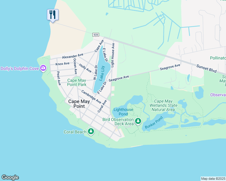 map of restaurants, bars, coffee shops, grocery stores, and more near 501 Light House Avenue in Cape May