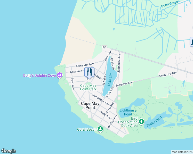 513 Cape Avenue, Cape May Point NJ Walk Score