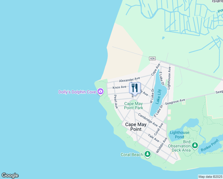 map of restaurants, bars, coffee shops, grocery stores, and more near 216 Knox Avenue in Cape May Point