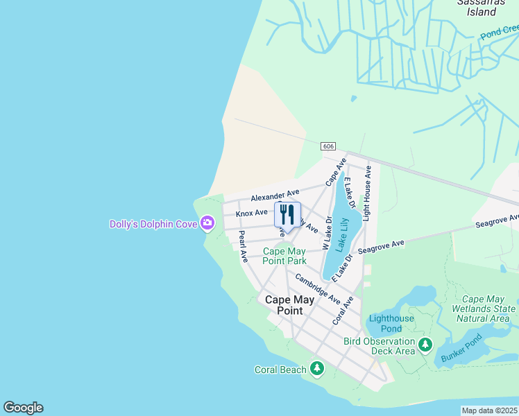 map of restaurants, bars, coffee shops, grocery stores, and more near 312 Knox Avenue in Cape May Point
