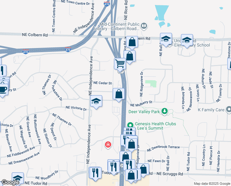 map of restaurants, bars, coffee shops, grocery stores, and more near 890 Route 291 in Lee's Summit