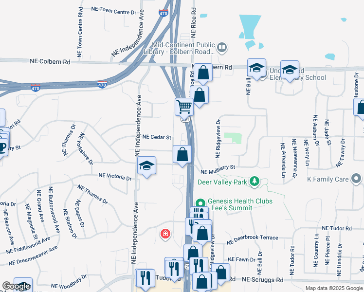 map of restaurants, bars, coffee shops, grocery stores, and more near 890 Route 291 in Lee's Summit