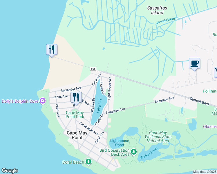 map of restaurants, bars, coffee shops, grocery stores, and more near 719 East Lake Drive in Cape May Point