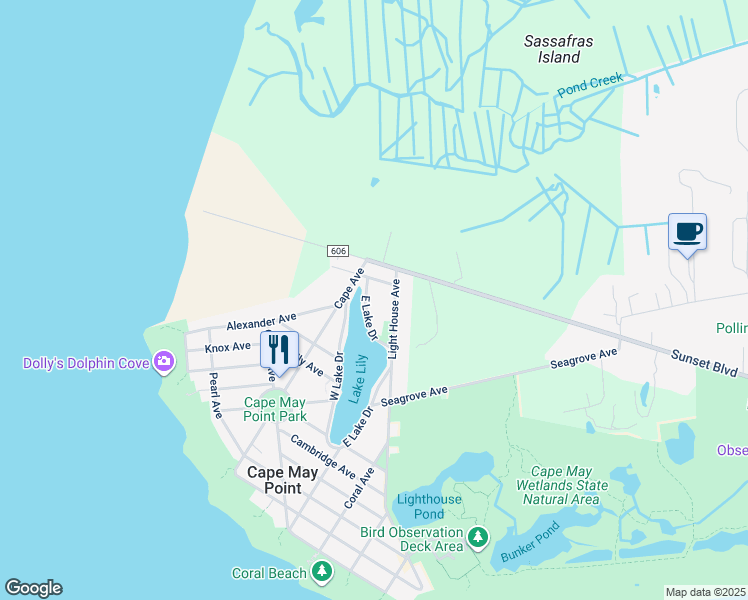 map of restaurants, bars, coffee shops, grocery stores, and more near 719 East Lake Drive in Cape May Point
