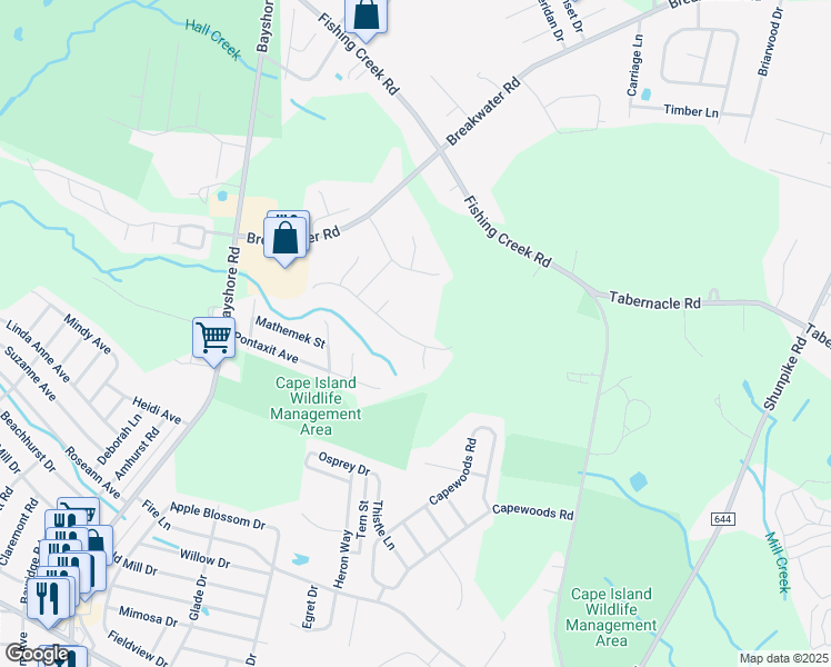 map of restaurants, bars, coffee shops, grocery stores, and more near 4 Grebe Court in North Cape May