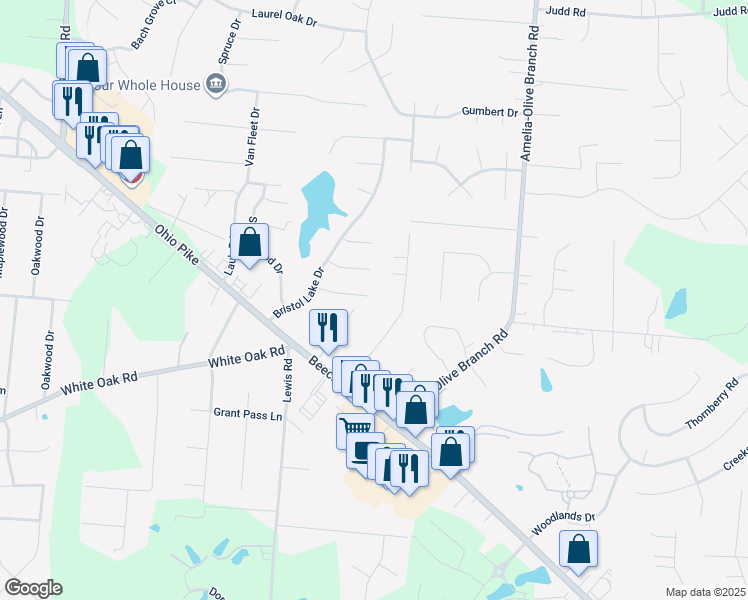 map of restaurants, bars, coffee shops, grocery stores, and more near 1349 Sprucewood Court in Amelia