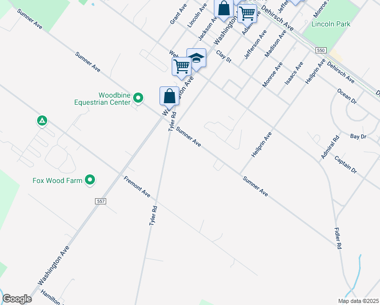 map of restaurants, bars, coffee shops, grocery stores, and more near 801 Sumner Avenue in Woodbine
