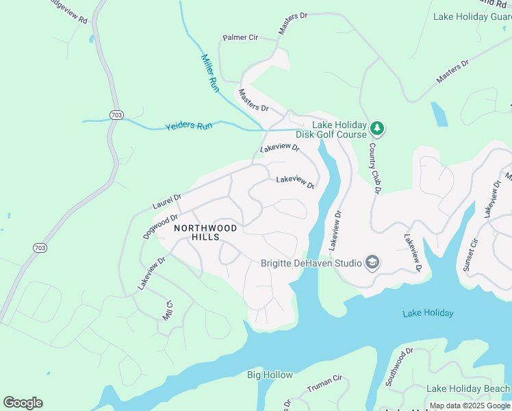 1318 Lakeview Drive, Cross Junction VA Walk Score