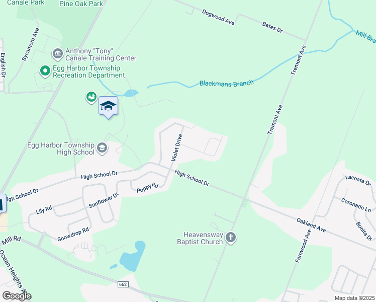 map of restaurants, bars, coffee shops, grocery stores, and more near 206 Ivy Road in Egg Harbor Township