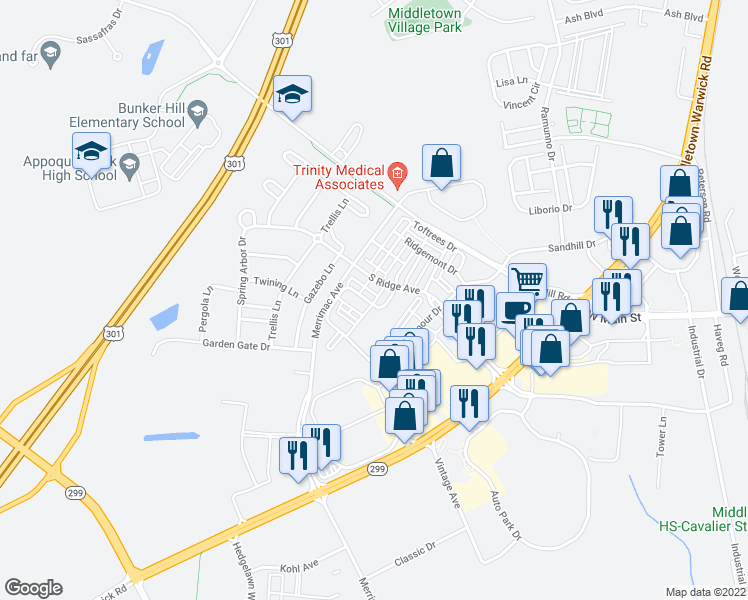 map of restaurants, bars, coffee shops, grocery stores, and more near 203 Lake Seymour Drive in Middletown