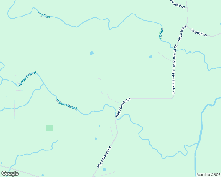 map of restaurants, bars, coffee shops, grocery stores, and more near Hippo Branch Road in Center