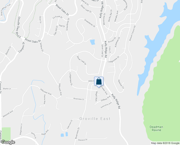 map of restaurants, bars, coffee shops, grocery stores, and more near 469 Silver Leaf Drive in Oroville