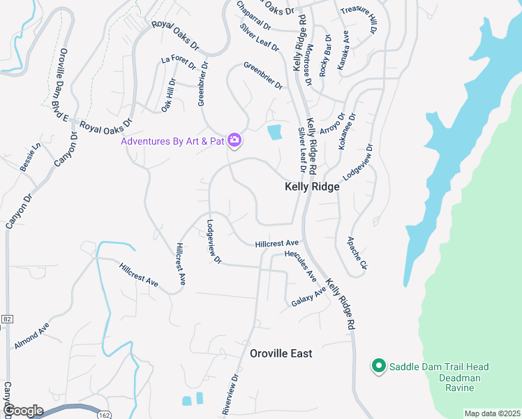 map of restaurants, bars, coffee shops, grocery stores, and more near 459 Silver Leaf Drive in Oroville