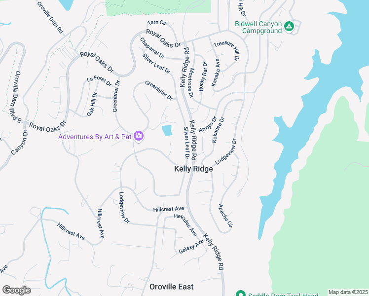 map of restaurants, bars, coffee shops, grocery stores, and more near 513 Silver Leaf Drive in Oroville