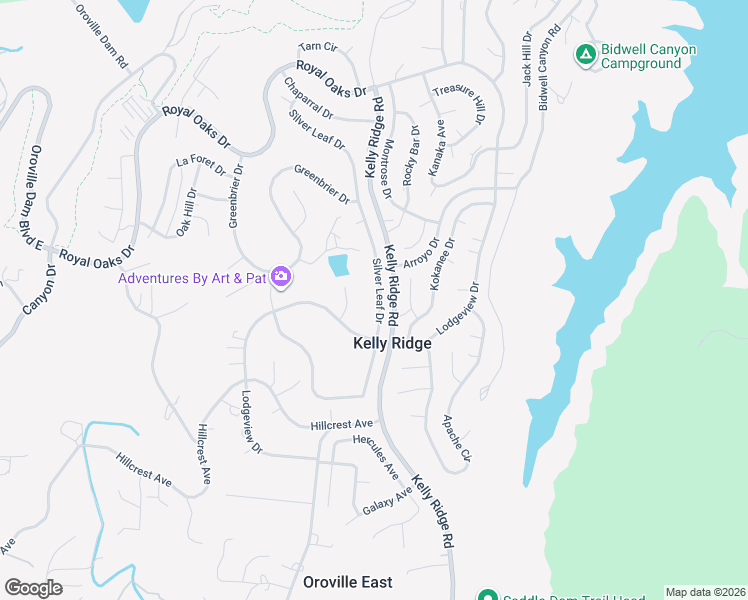 map of restaurants, bars, coffee shops, grocery stores, and more near 513 Silver Leaf Drive in Oroville