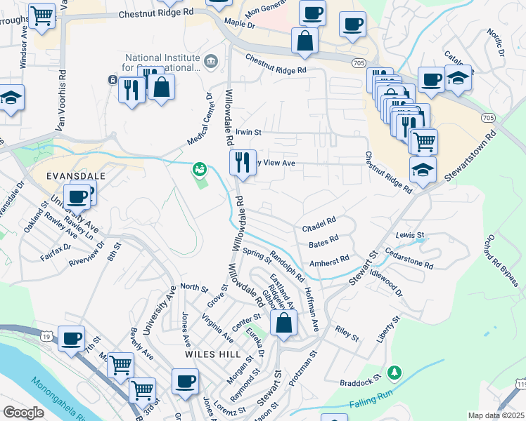 map of restaurants, bars, coffee shops, grocery stores, and more near 294 Richland Avenue in Morgantown