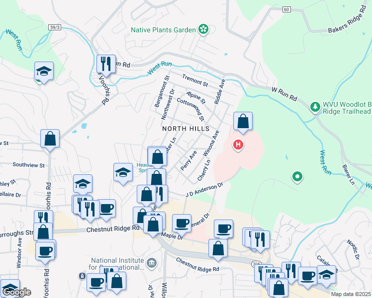 map of restaurants, bars, coffee shops, grocery stores, and more near 1337 Riddle Avenue in Morgantown