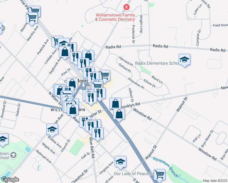 map of restaurants, bars, coffee shops, grocery stores, and more near 241 Ireland Terrace in Monroe Township