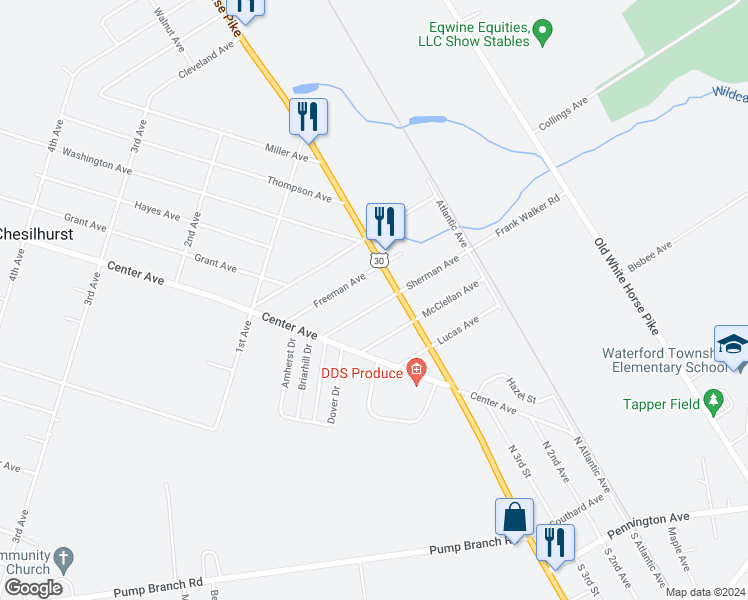 map of restaurants, bars, coffee shops, grocery stores, and more near 219 Sherman Avenue in Chesilhurst