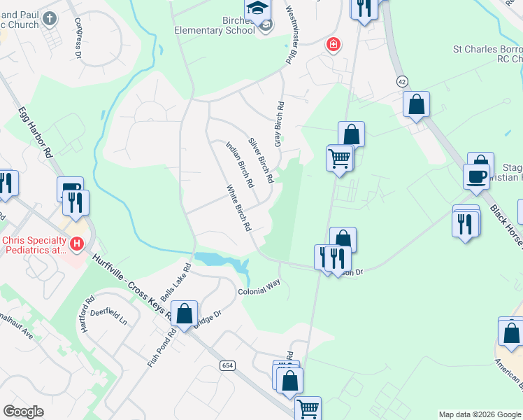map of restaurants, bars, coffee shops, grocery stores, and more near 53 Silver Birch Road in Washington Township
