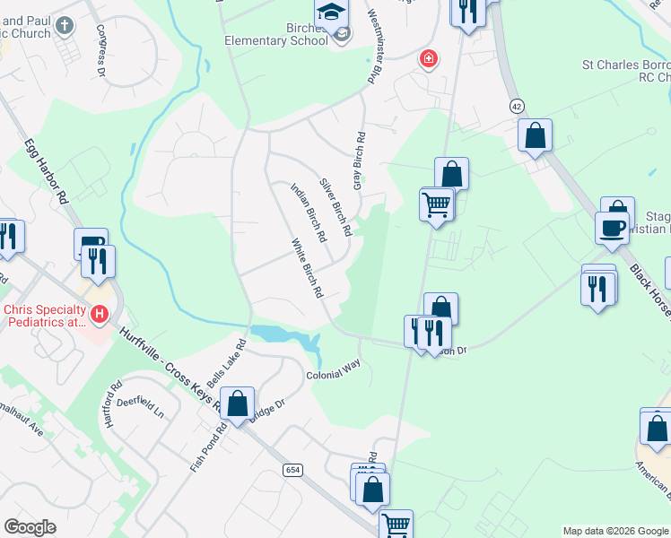 map of restaurants, bars, coffee shops, grocery stores, and more near 53 Silver Birch Road in Washington Township