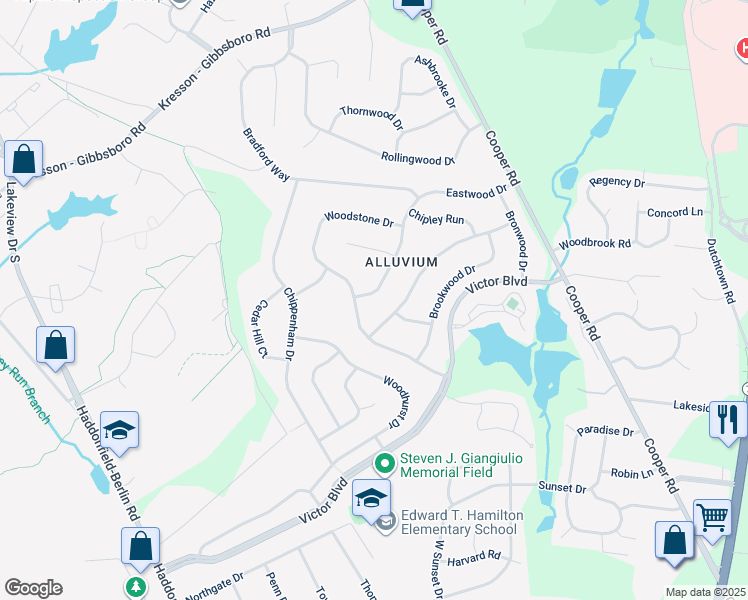 map of restaurants, bars, coffee shops, grocery stores, and more near 42 Eastwood Drive in Voorhees Township