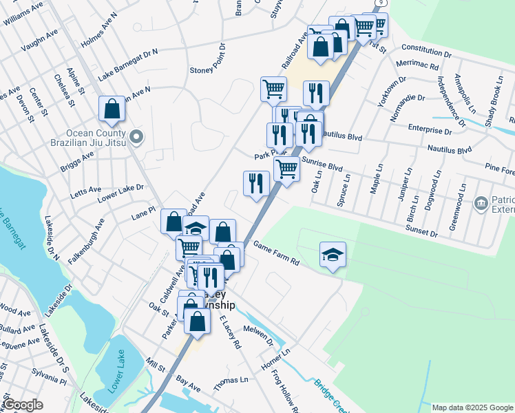 map of restaurants, bars, coffee shops, grocery stores, and more near 216 U.S. 9 in Lacey Township