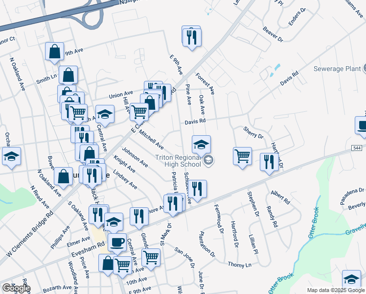 map of restaurants, bars, coffee shops, grocery stores, and more near Schubert Avenue in Runnemede