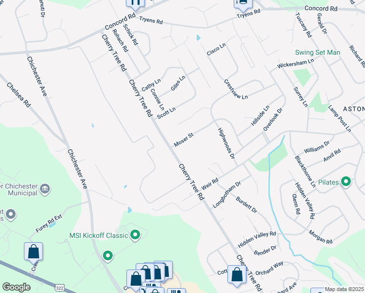 map of restaurants, bars, coffee shops, grocery stores, and more near 102 Moser Street in Aston